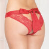 Red Mesh & Lace Open Crotch Panty